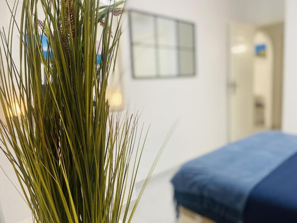 Apartament Lovely Ground Floor 5 Min From The *